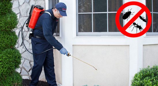 Bağcılar Uçan Haşere İlaçlama böcek ilaçlama ve haşere kontrolü — ilaclama-tr.com